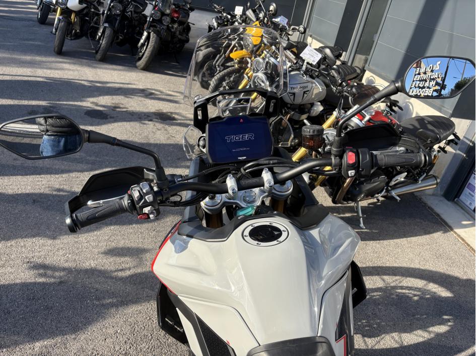 TRIUMPH TIGER 900 RALLY PRO