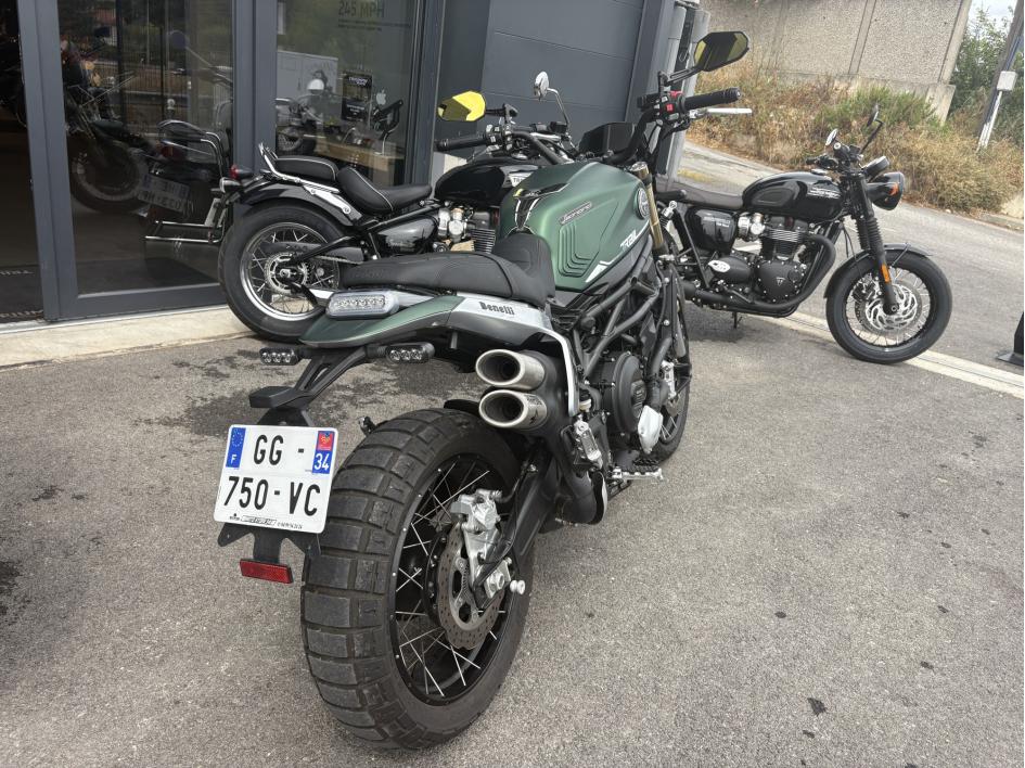 BENELLI LEONCINO 800 T