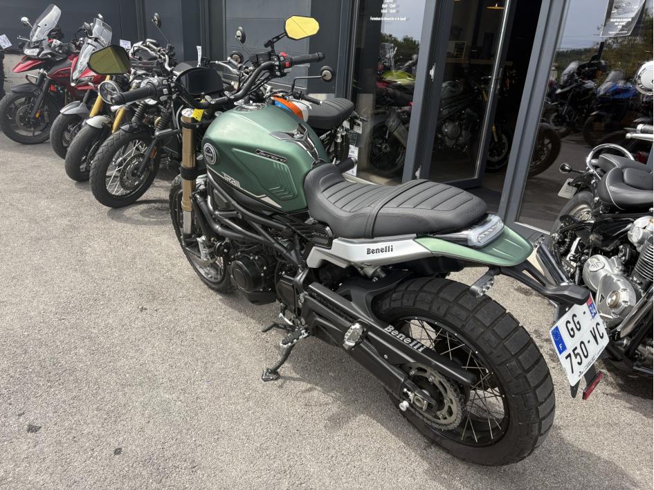 BENELLI LEONCINO 800 T