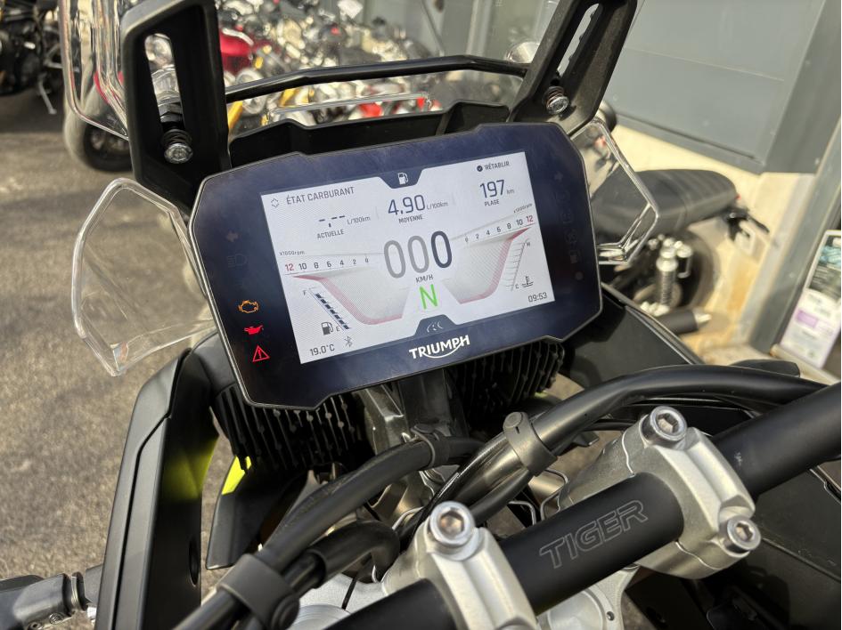 TRIUMPH Tiger 900 Rally Aragon Edition